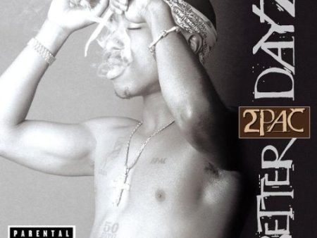 2PAC - BETTER DAYZ Supply