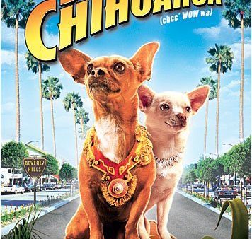 BEVERLY HILLS CHIHUAHUA Hot on Sale