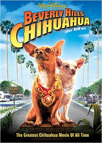 BEVERLY HILLS CHIHUAHUA Hot on Sale